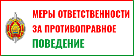 меры ответственности за противоправное поведение